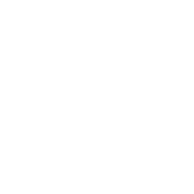 Icon PINO Internationale